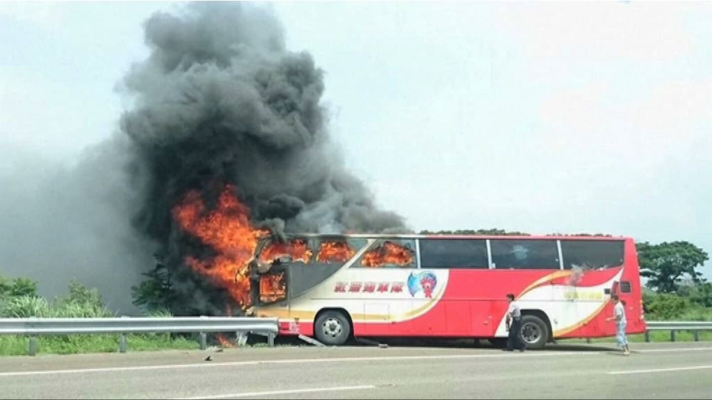 台灣公路總局：涉事同款旅遊巴全面停駛