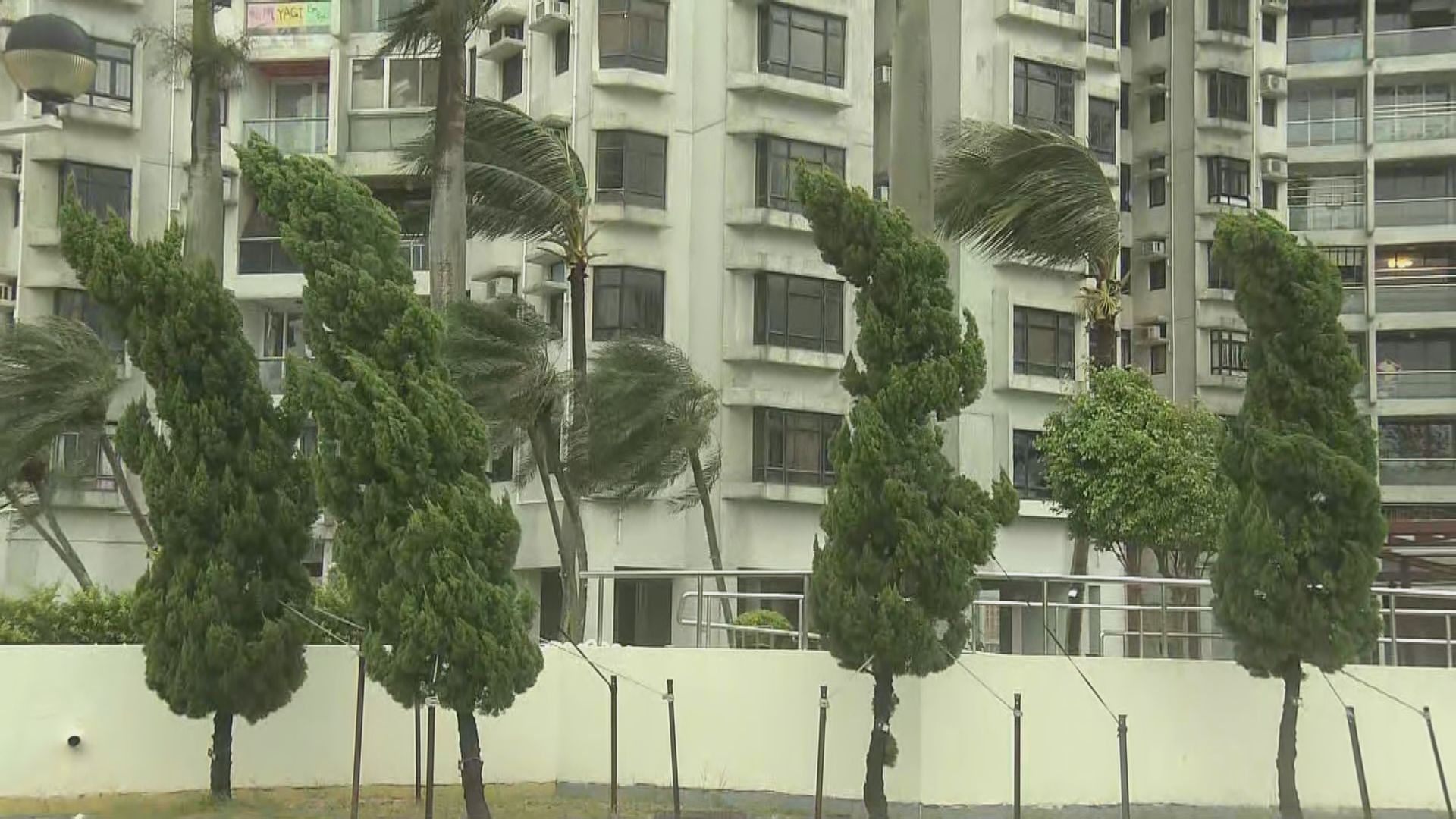 早上杏花邨仍有風雨　市民如常晨運跑步