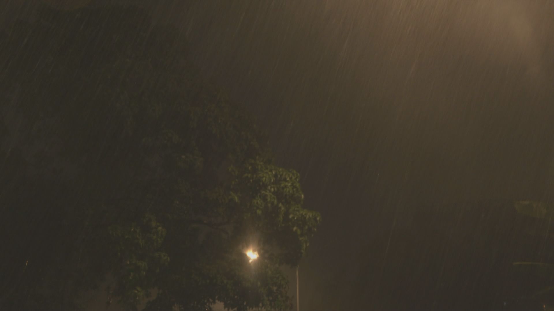 澳門凌晨風力增強　雨勢有時頗大