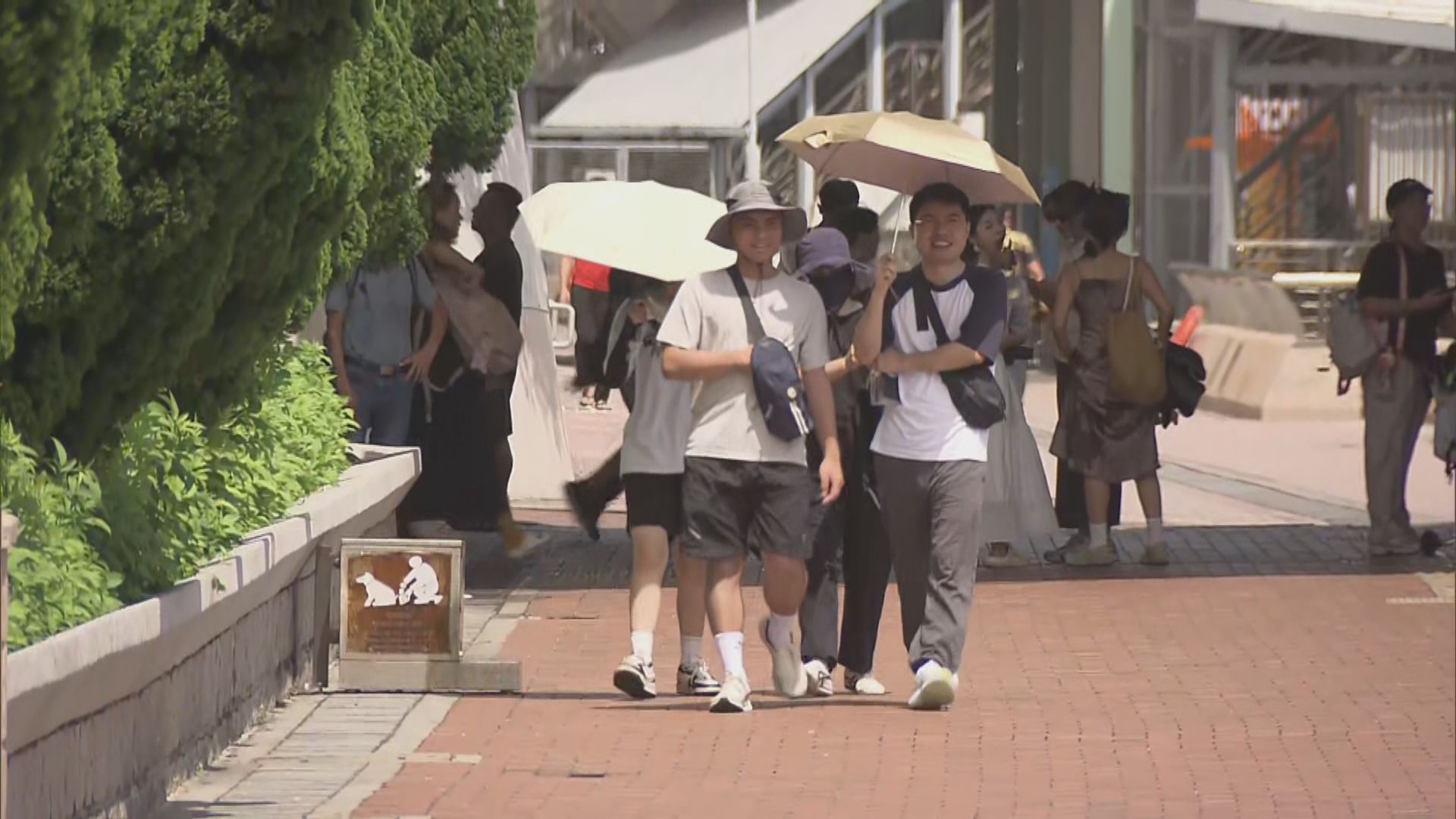日間天氣極端酷熱　市區最高氣溫約35度