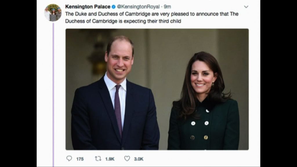 英國劍橋公爵夫人凱蒂再度懷孕