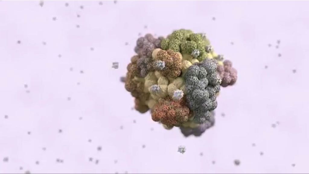 科學家找出癌細胞要害助治療
