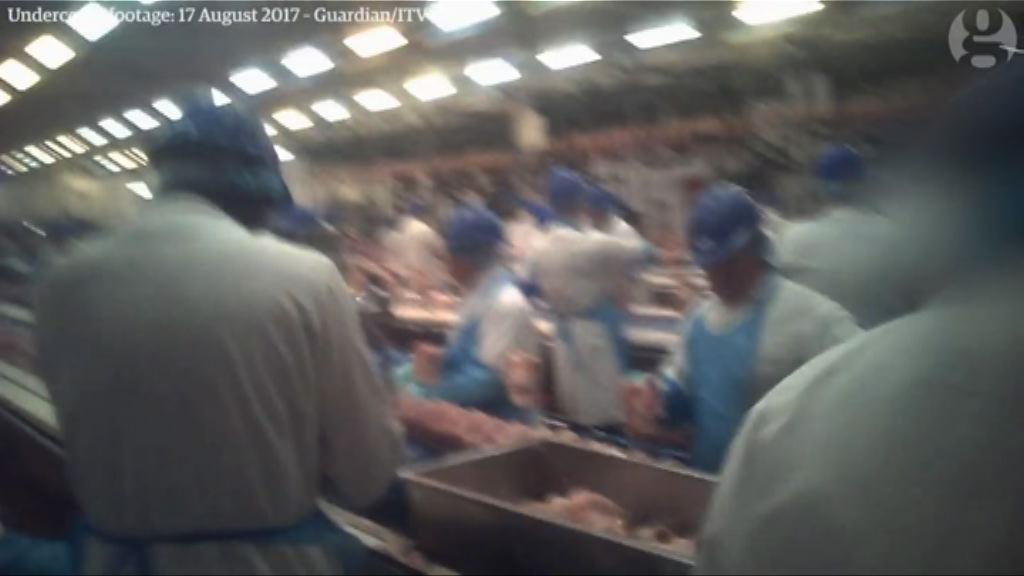 英國雞肉加工廠被指妄顧食品安全