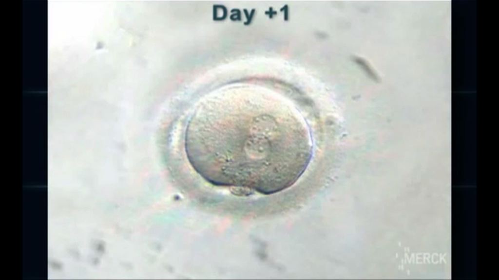 英科學家獲准基因編輯人類胚胎惹道德爭議