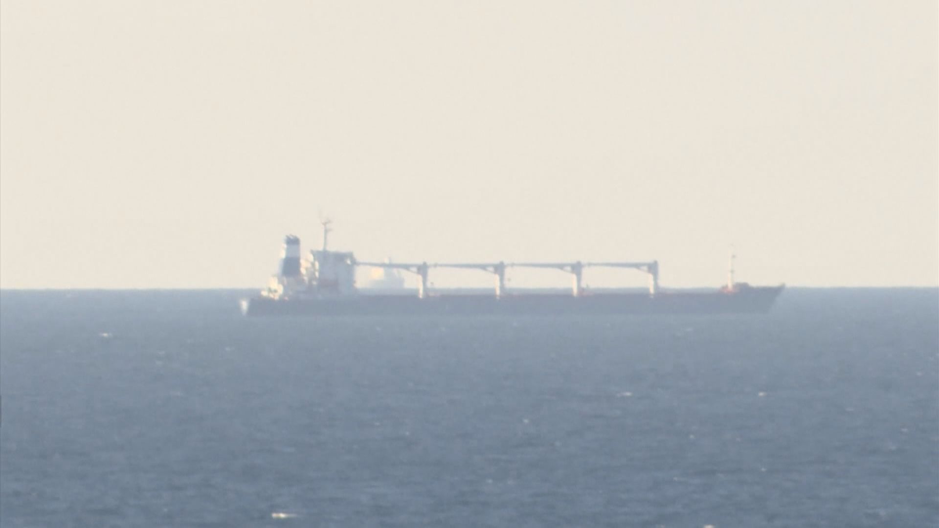 首艘運載烏克蘭穀物貨船抵達伊斯坦布爾對出水域