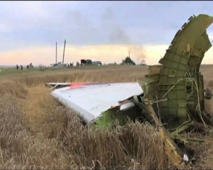 
馬航客機烏克蘭東部遭擊落墜毀