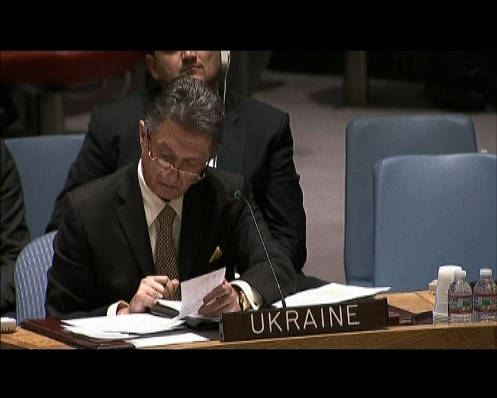 
安理會開會討論烏克蘭人權狀況