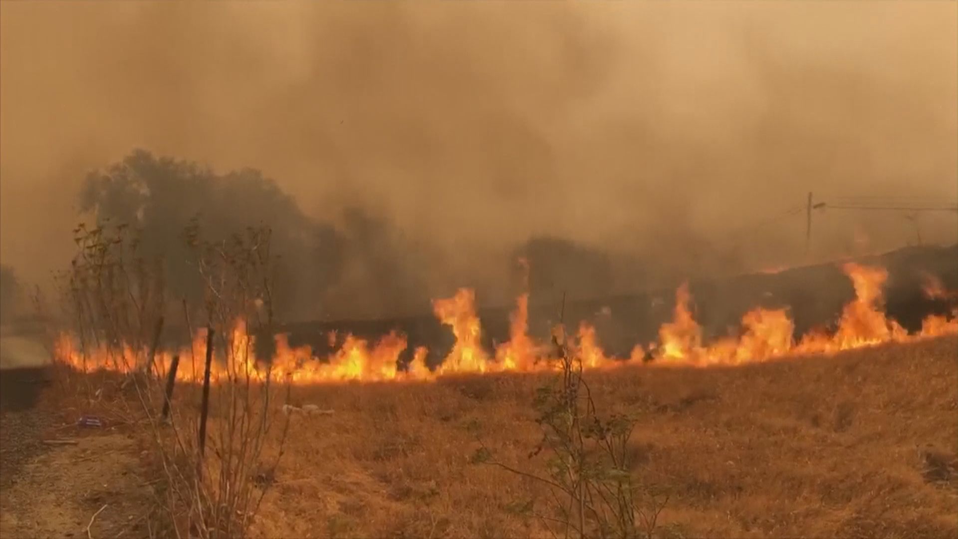 加州雷擊熱浪夾擊下多處山火　消防直升機墜毀機師身亡