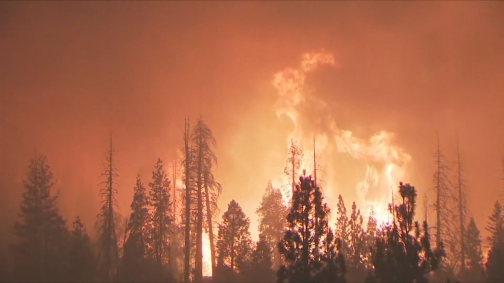 美國加州等地山火仍未受控　威脅鄰近州份