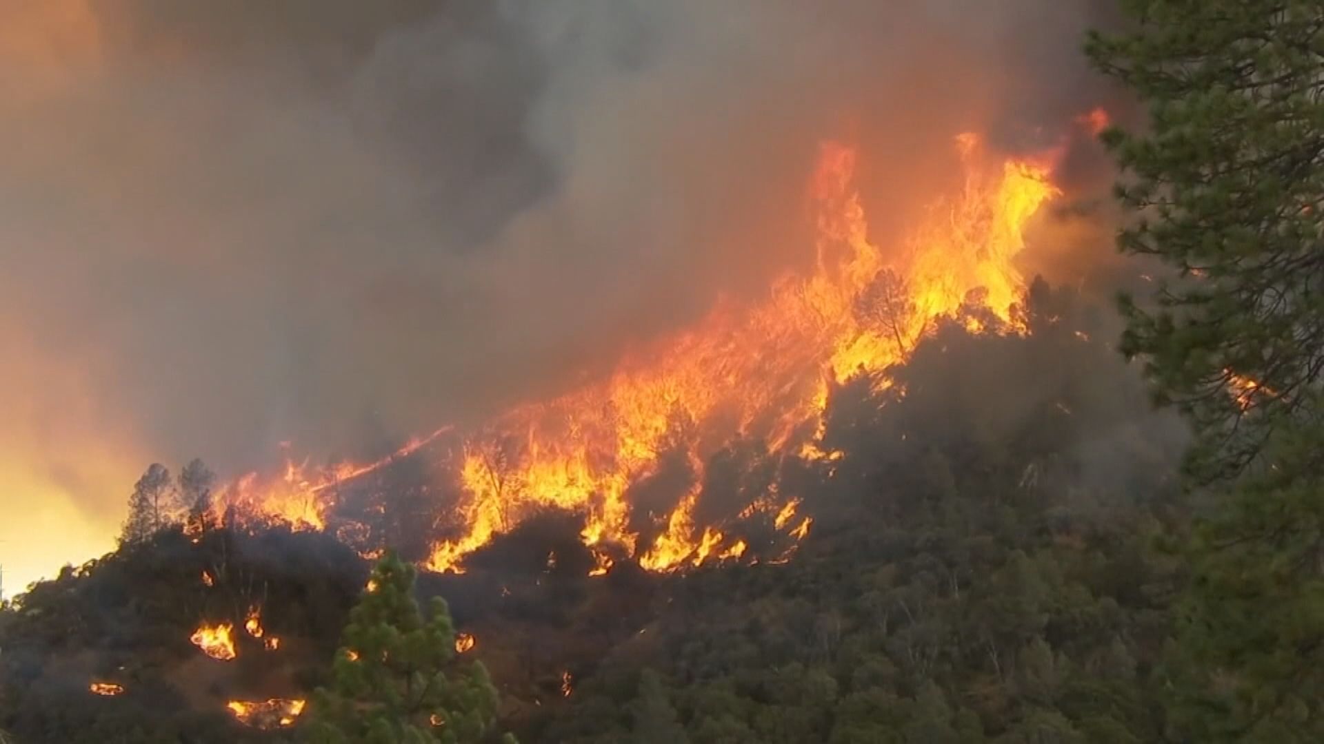 美國加州山火蔓延　當局疏散逾六千居民