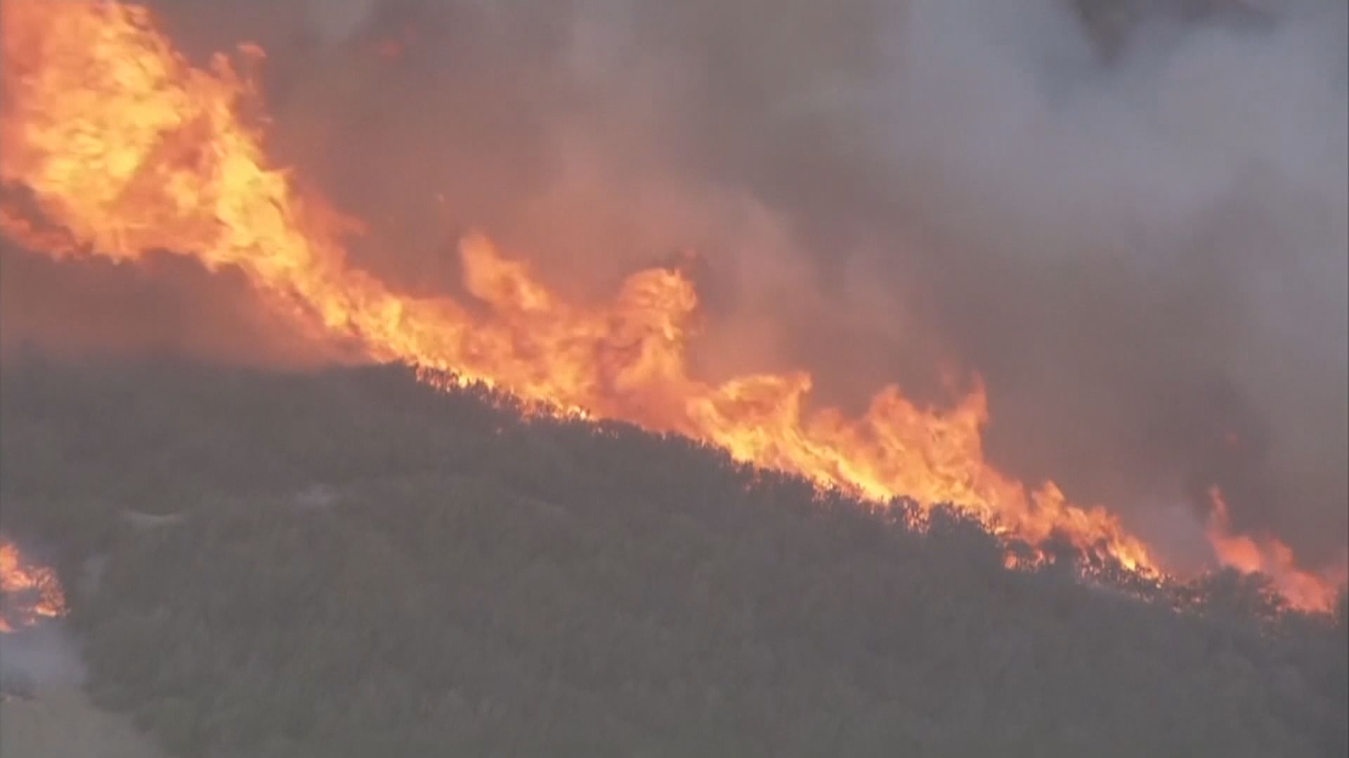 加州山火迅速蔓延逾二萬人要疏散