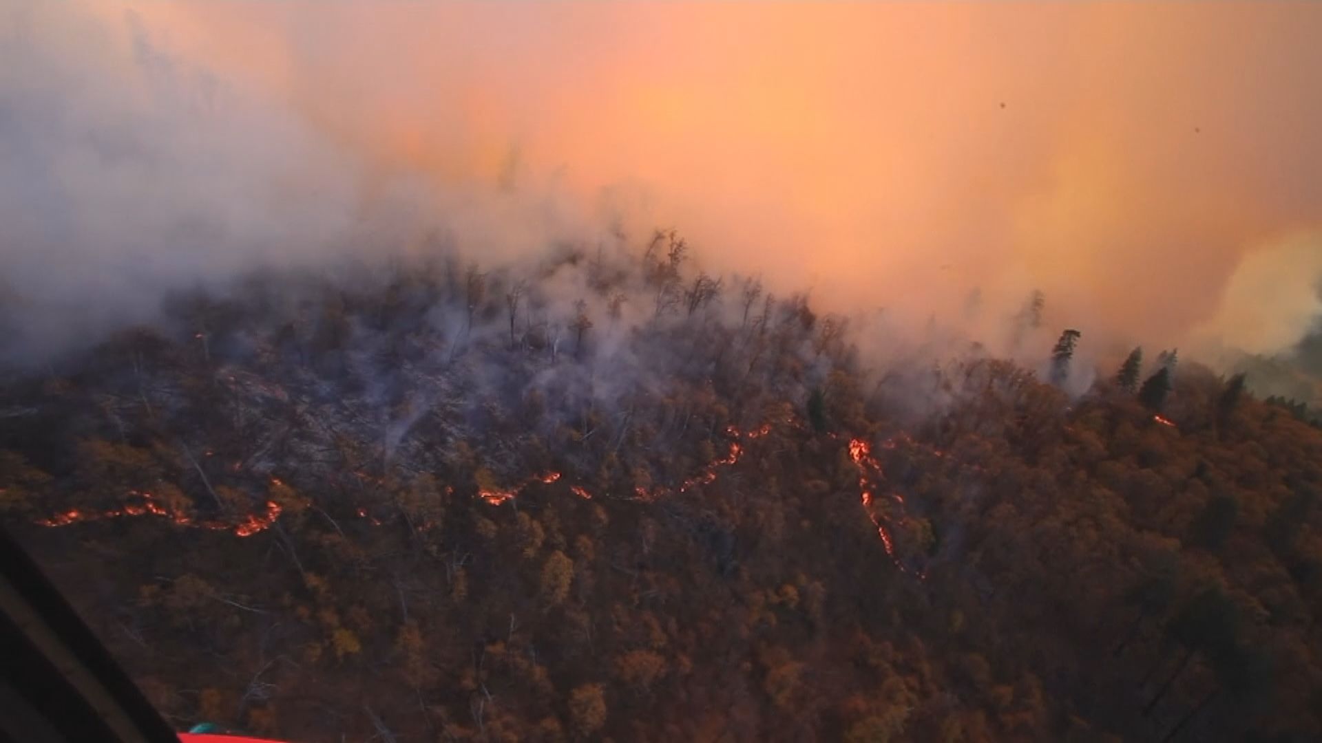 加州山火增至逾七十人死