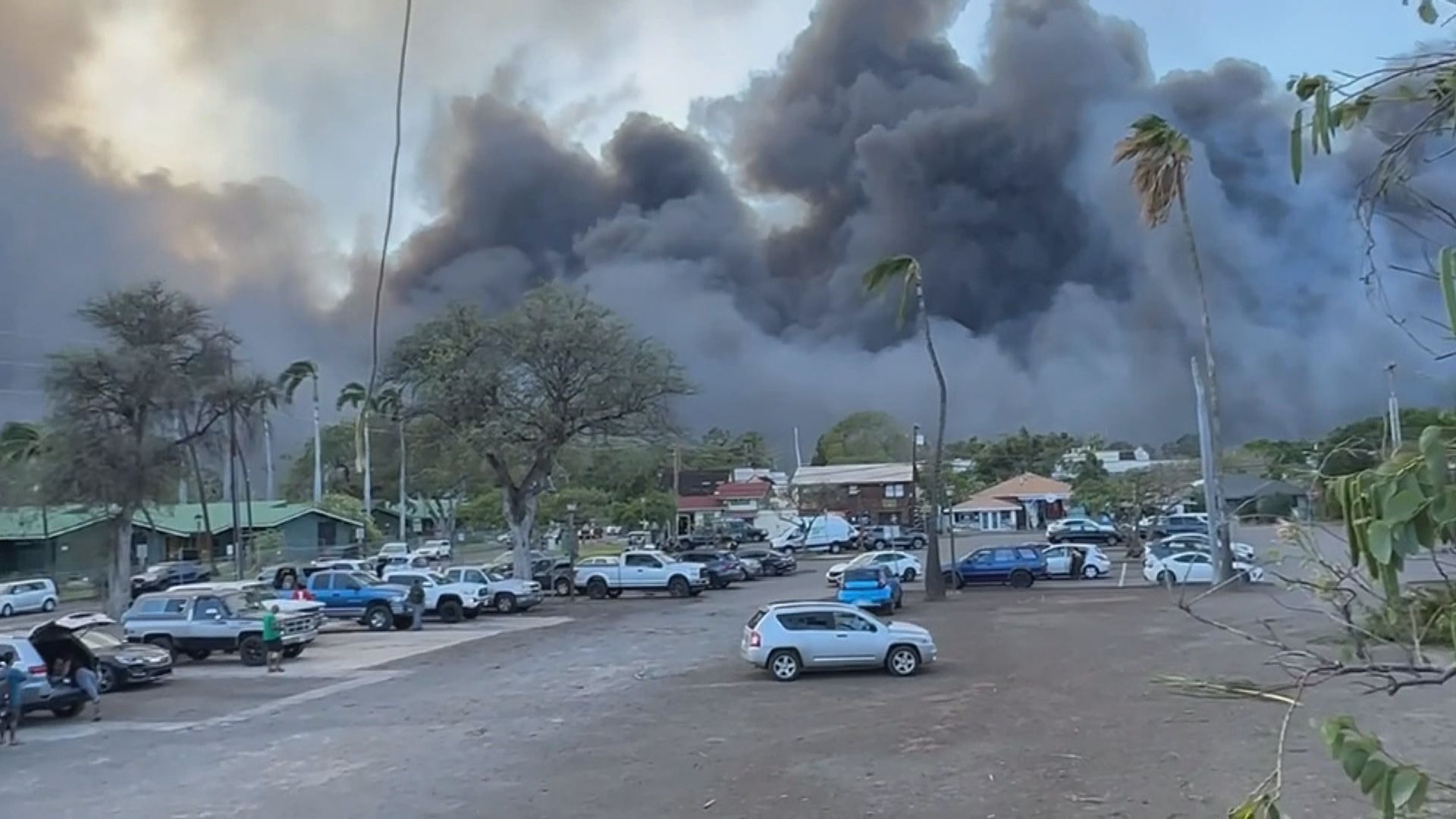 美國夏威夷毛伊島山火嚴峻 有人被迫跳海逃生 