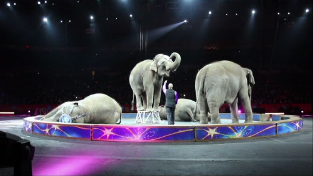 美國著名馬戲團結束大象表演