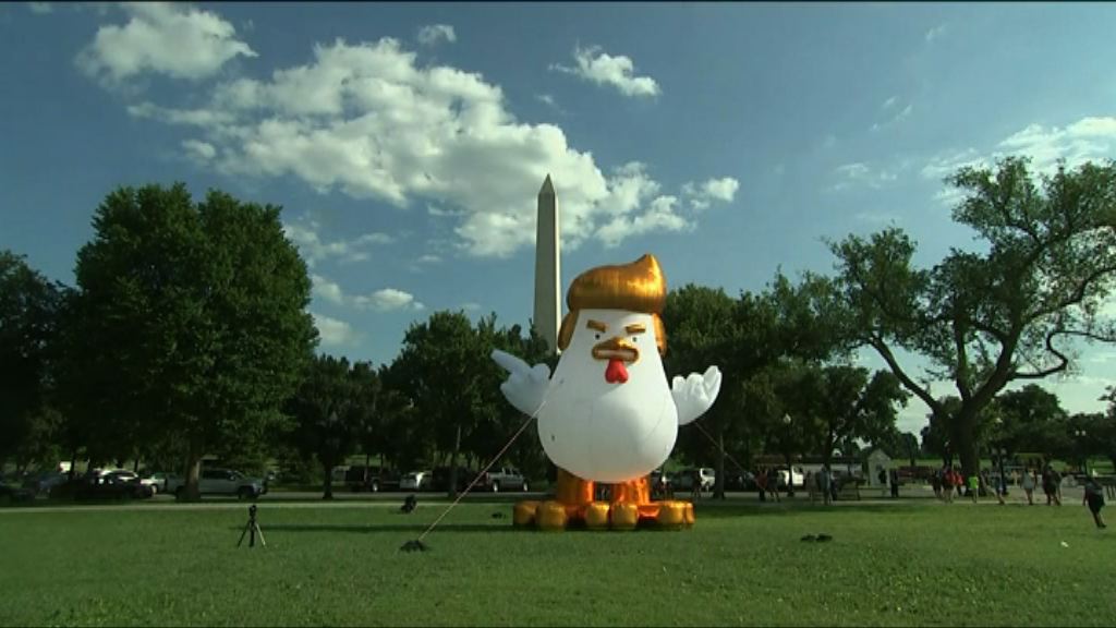 白宮外出現「特朗普雞」以表不滿