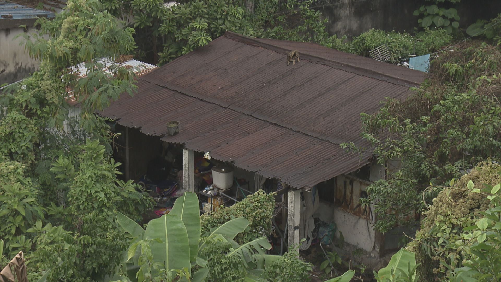 洪水橋新發展區收地在即　有居民欠住址證明遭當局拒絕安置