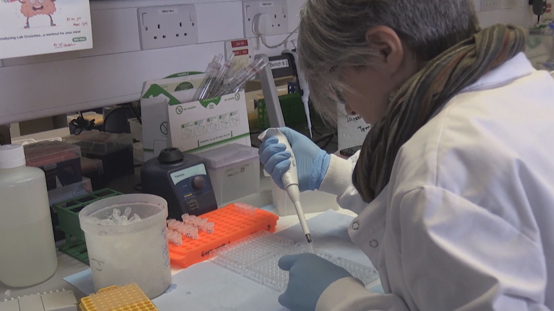 牛津大學新冠病毒疫苗初步試驗能產生免疫反應