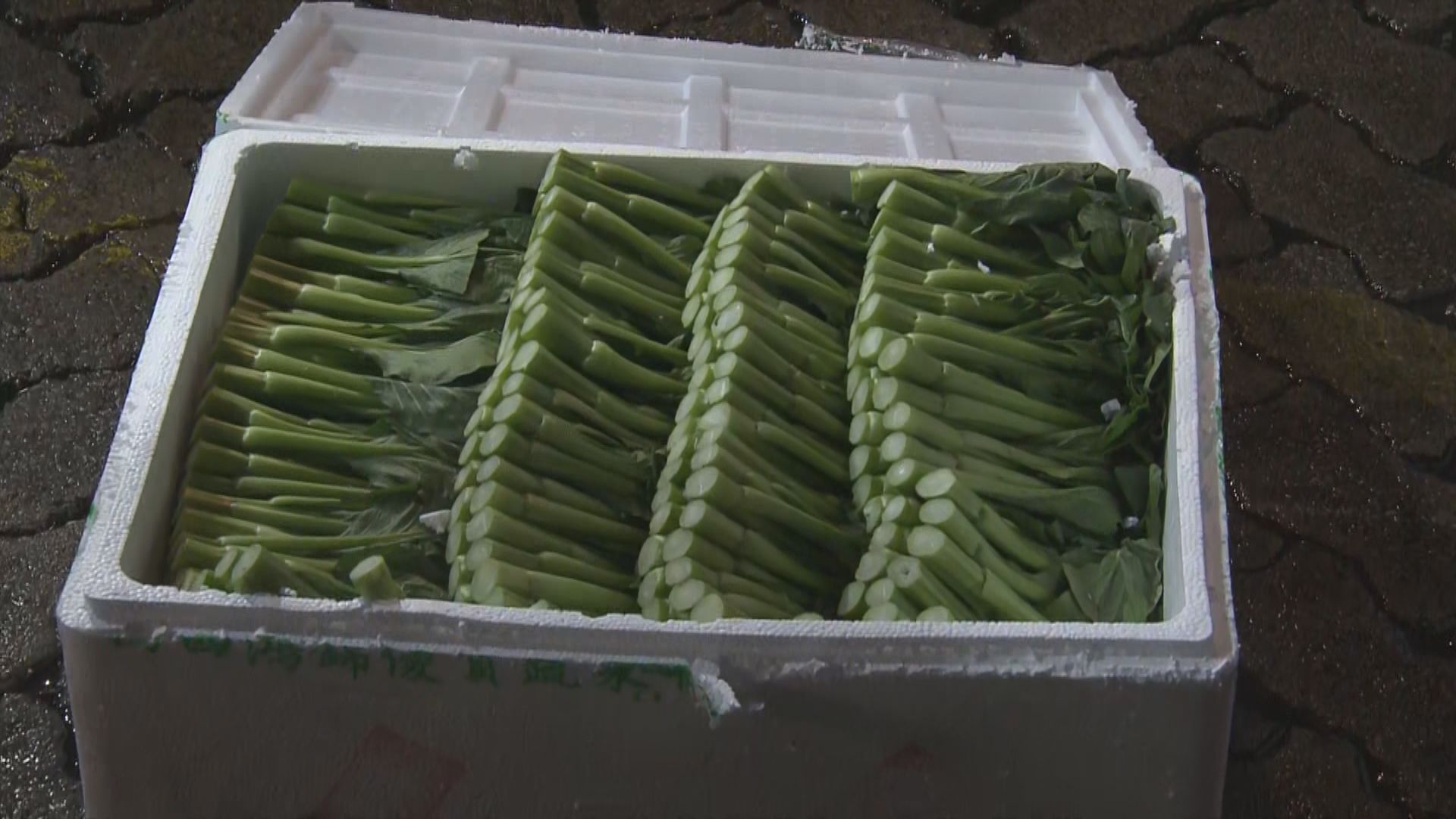 首批從廣州經水路運載的蔬菜食品抵港