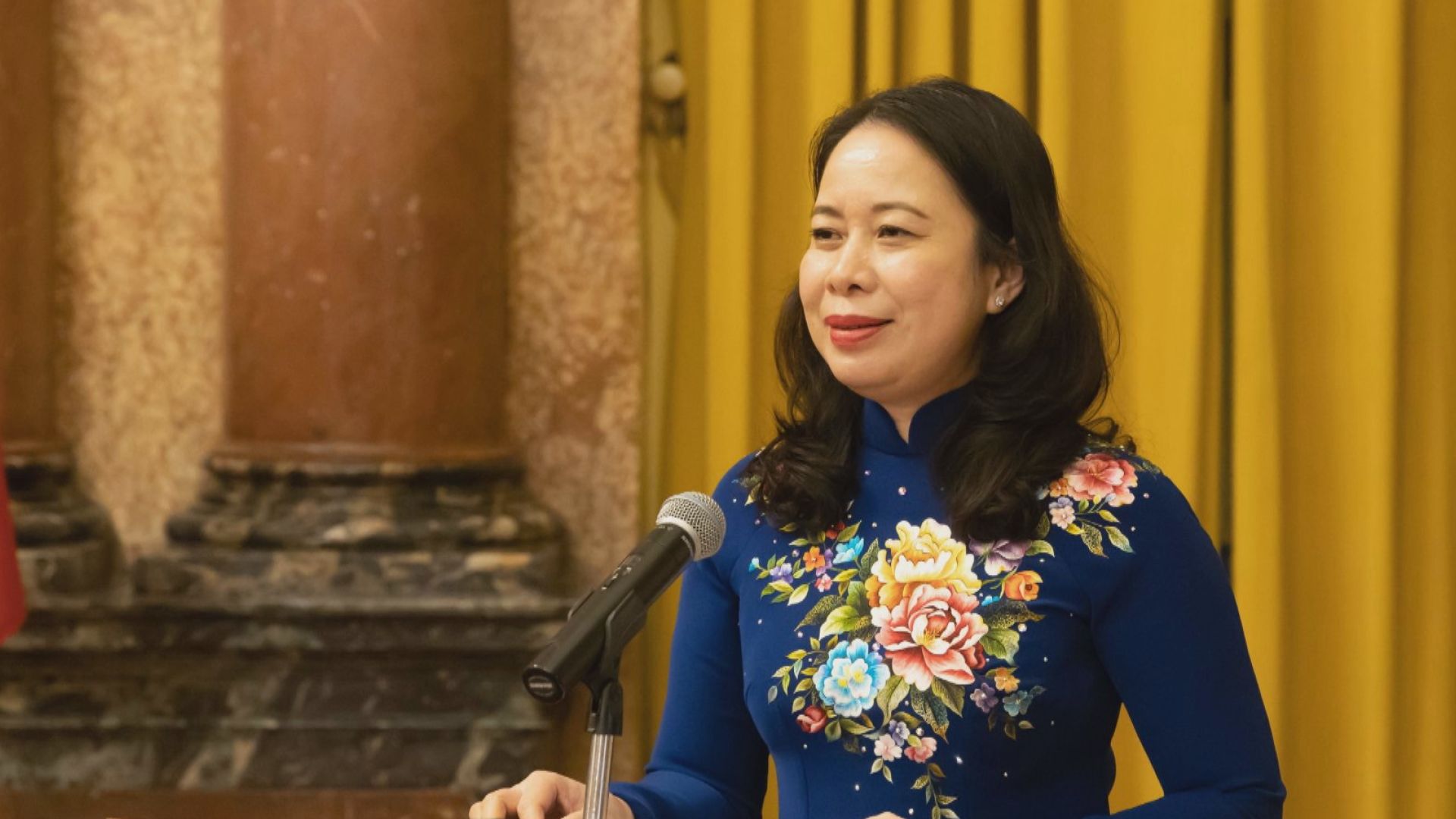 越南國會宣布武氏映春出任國家代主席