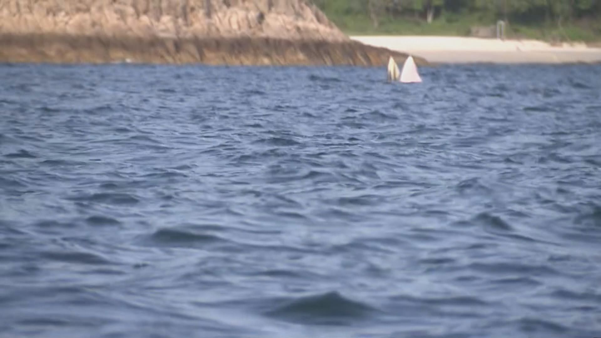 本台拍攝鯨魚再現西貢海域 水警輪在牛尾海一帶加強巡邏