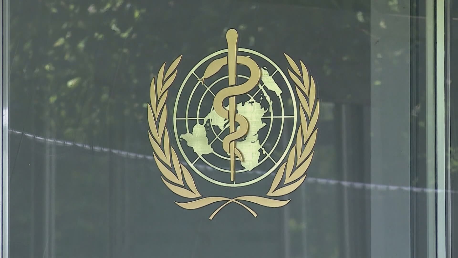 世衛將研疫情是否列國際公共衛生緊急事件