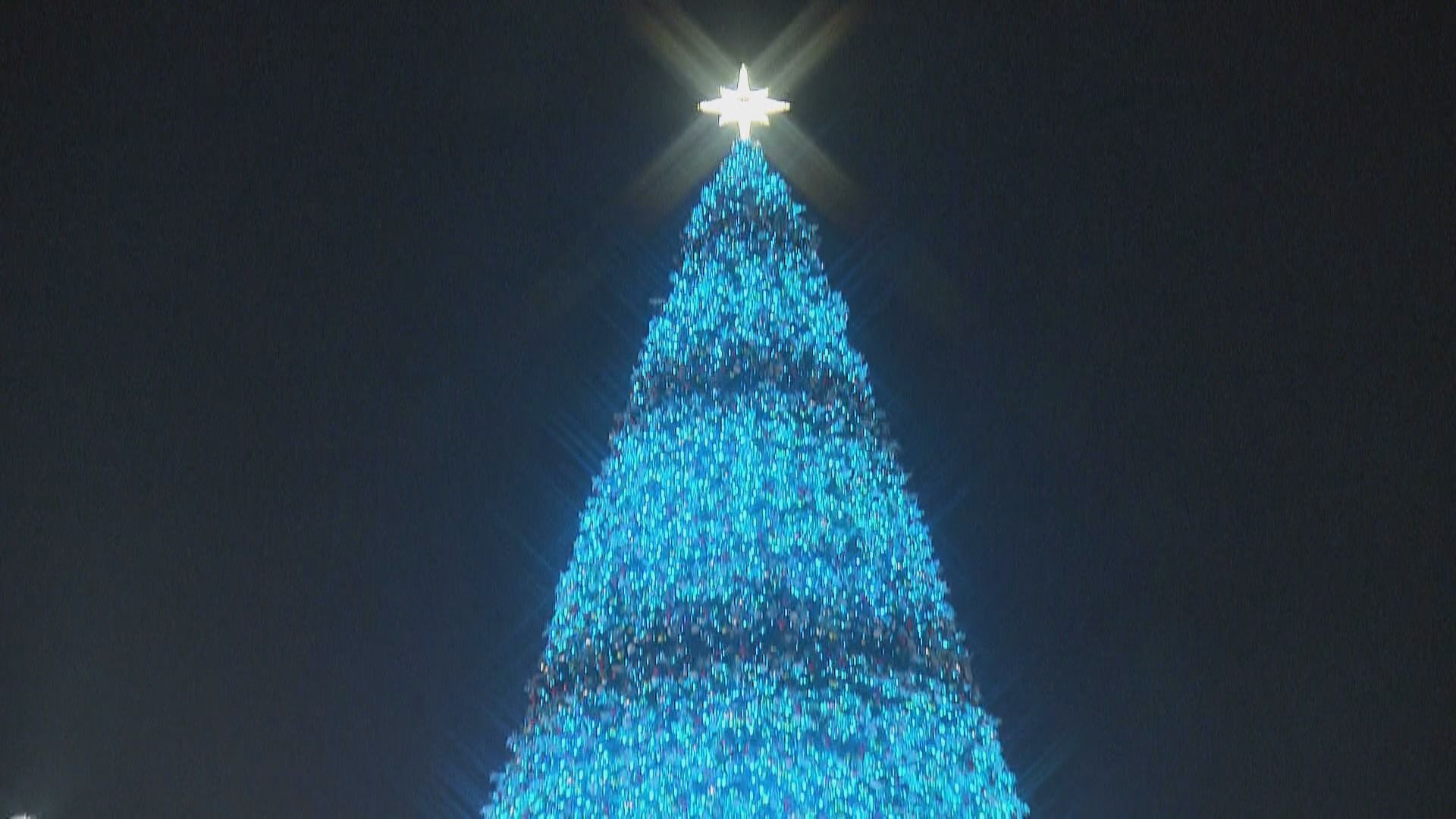 市民平安夜出外迎接聖誕　西九巨型聖誕樹成焦點