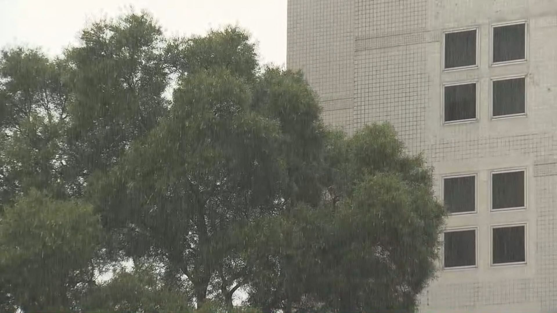 黃色暴雨現正生效